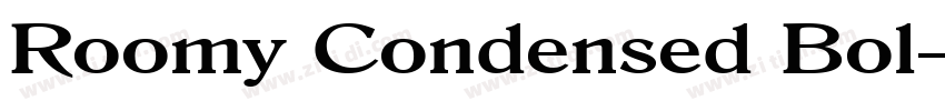 Roomy Condensed Bol字体转换
